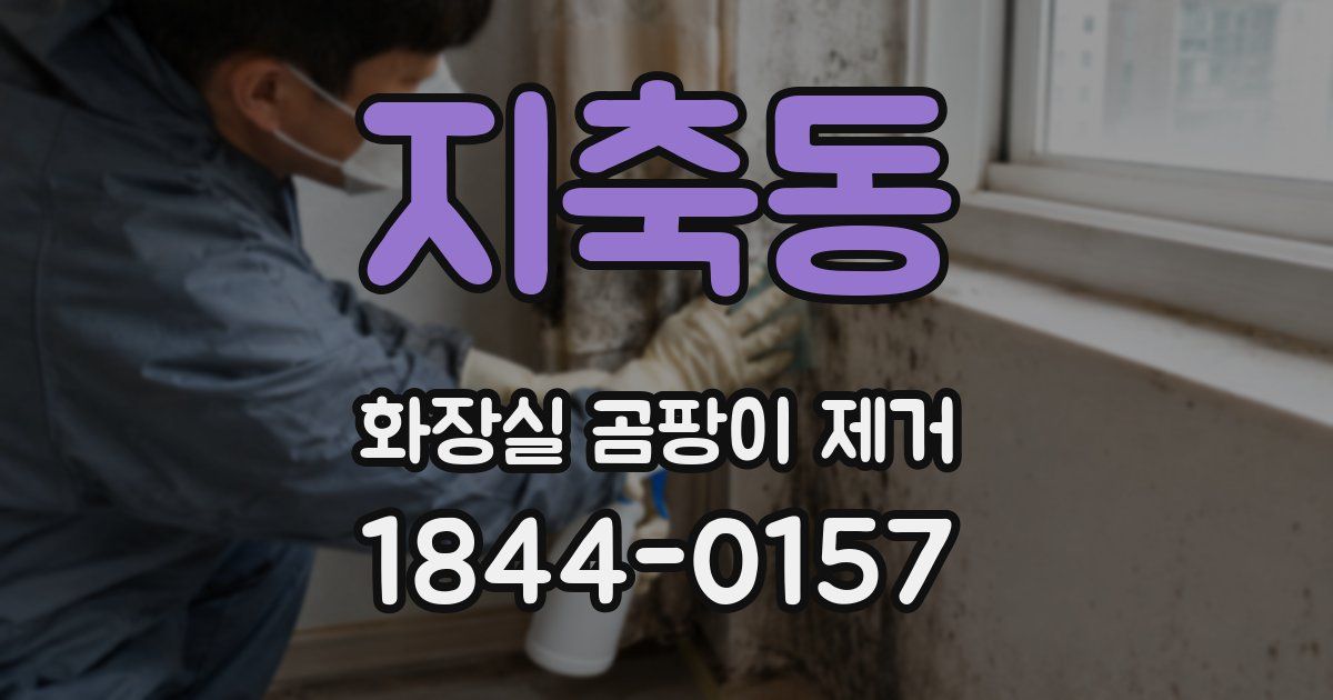 지축동 화장실 곰팡이 제거