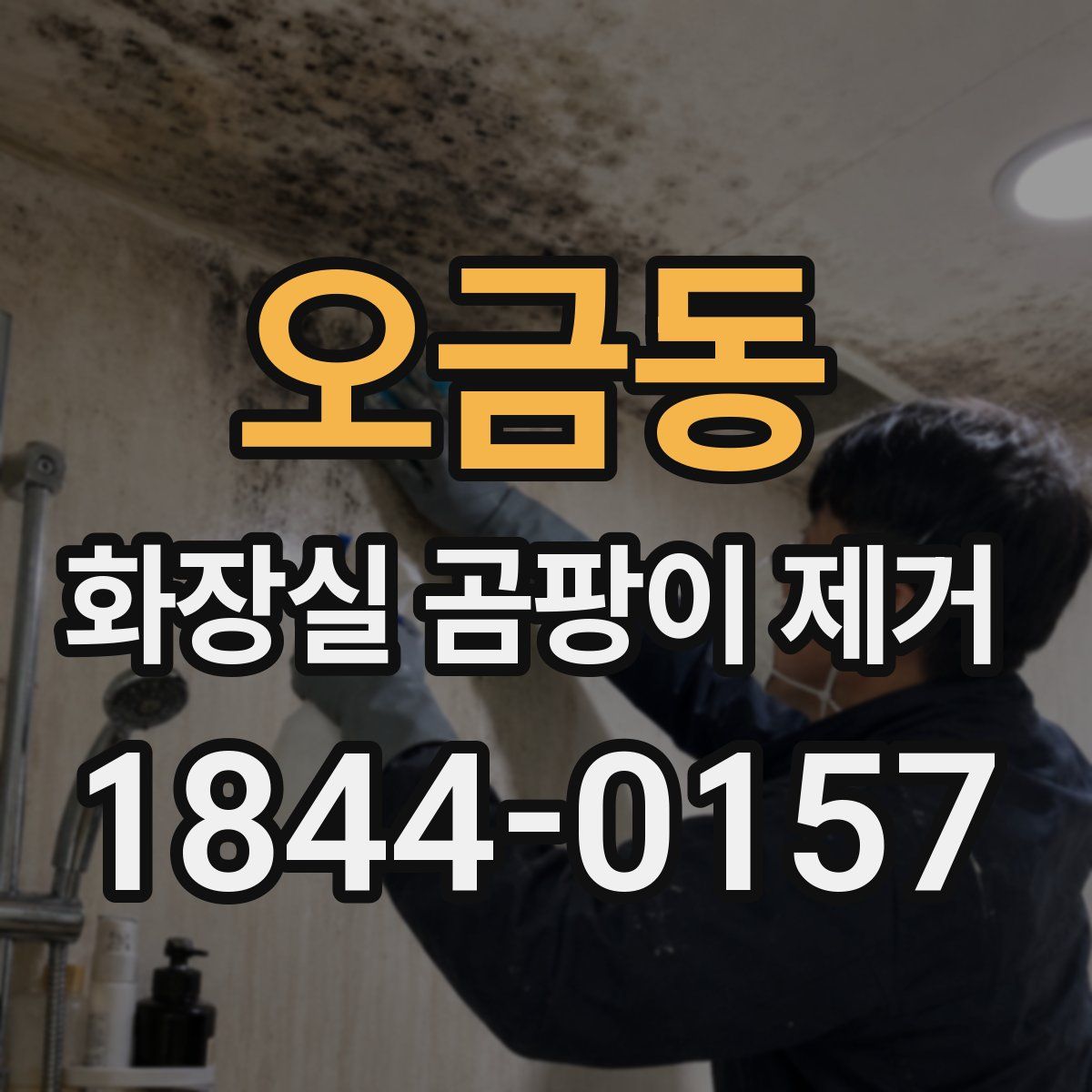 오금동 화장실 곰팡이 제거