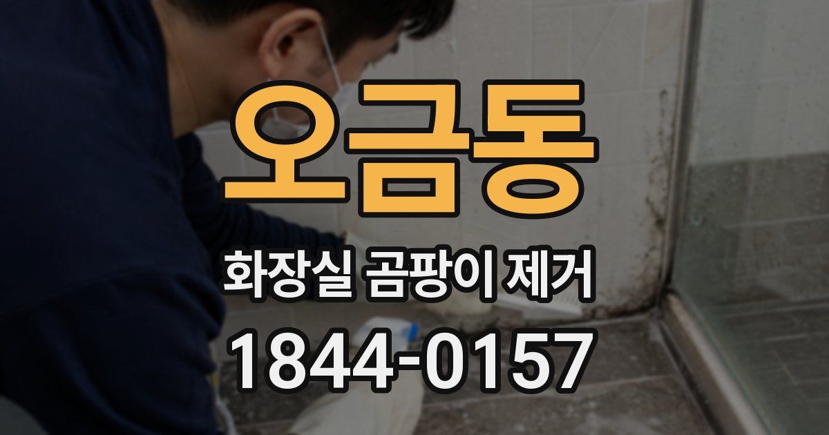 오금동 화장실 곰팡이 제거