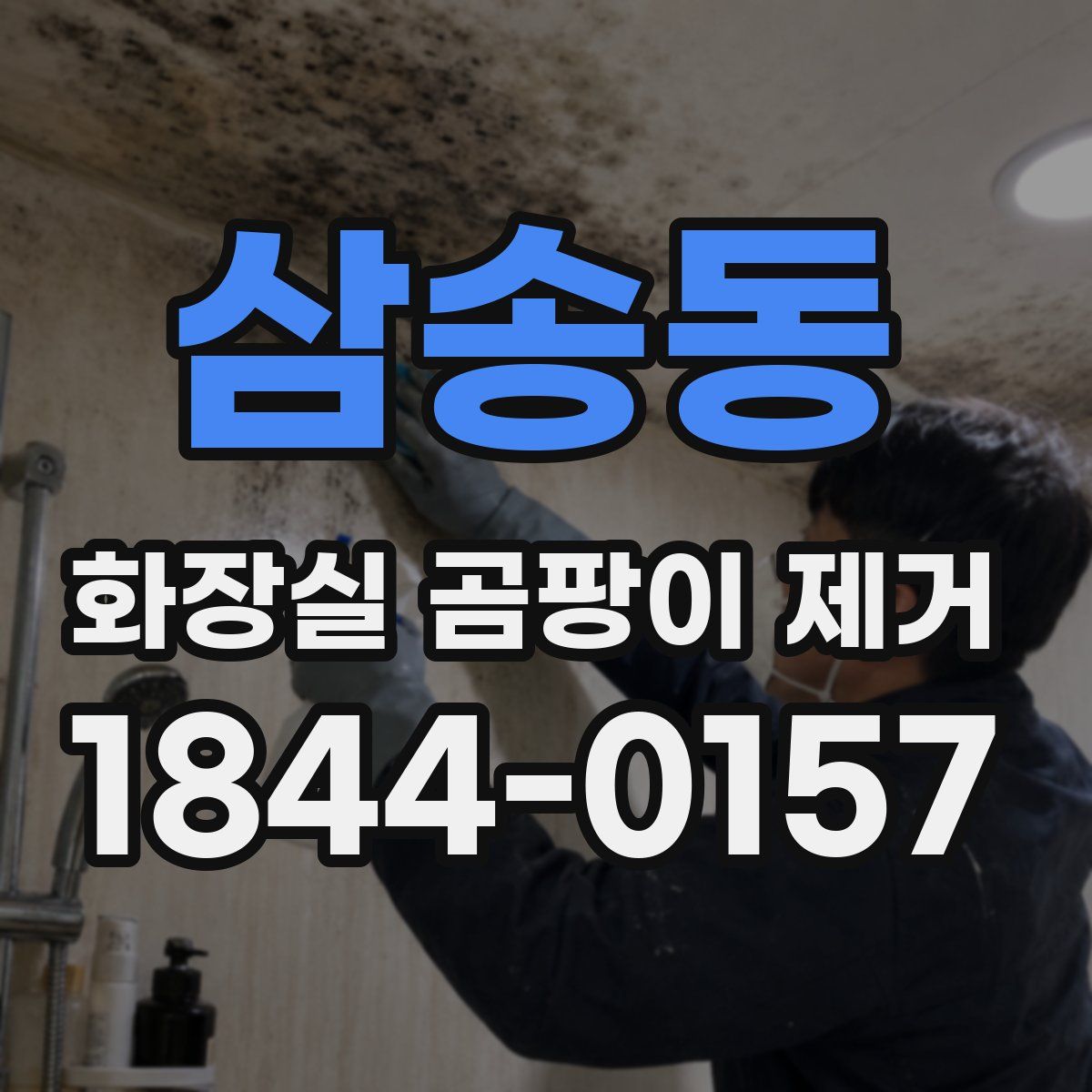 삼송동 화장실 곰팡이 제거