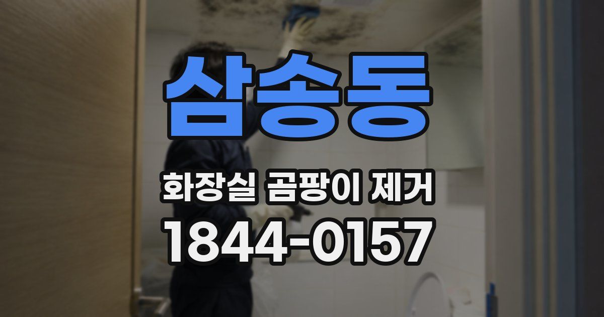삼송동 화장실 곰팡이 제거