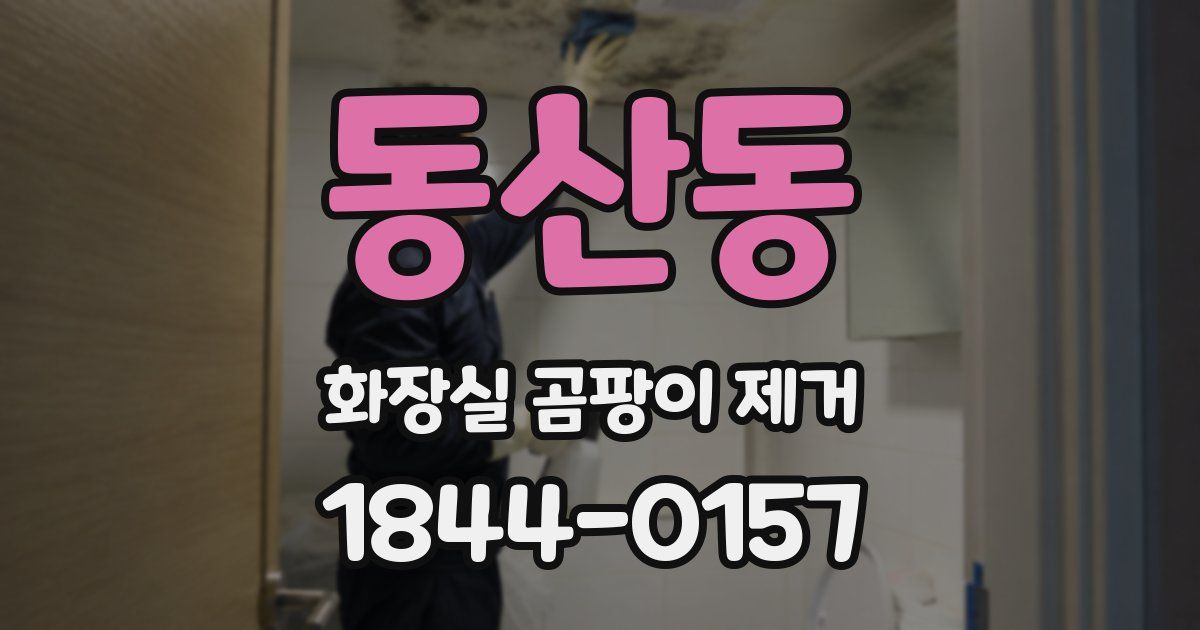 동산동 화장실 곰팡이 제거
