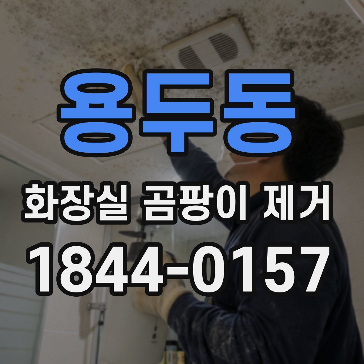 용두동 화장실 곰팡이 제거