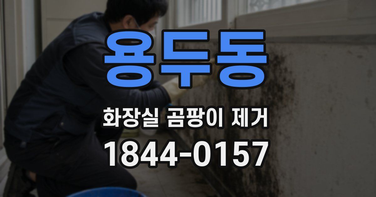 용두동 화장실 곰팡이 제거