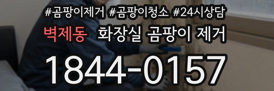 벽제동 화장실 곰팡이 제거