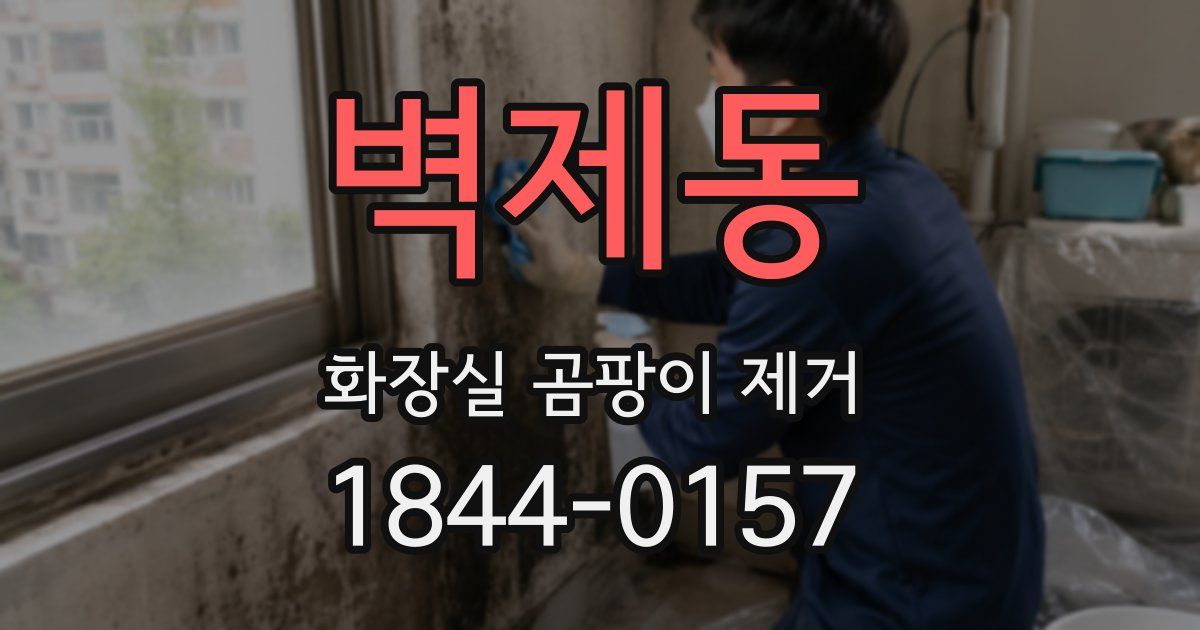 벽제동 화장실 곰팡이 제거
