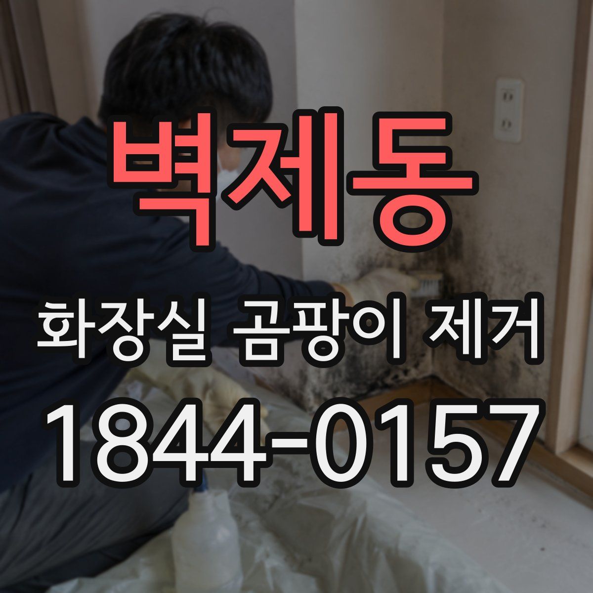 벽제동 화장실 곰팡이 제거