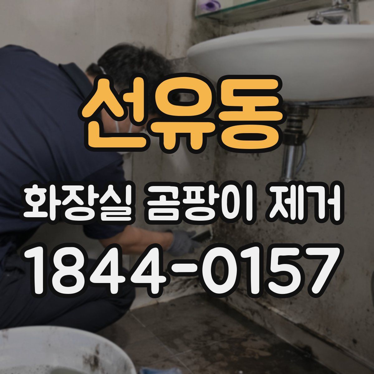 선유동 화장실 곰팡이 제거
