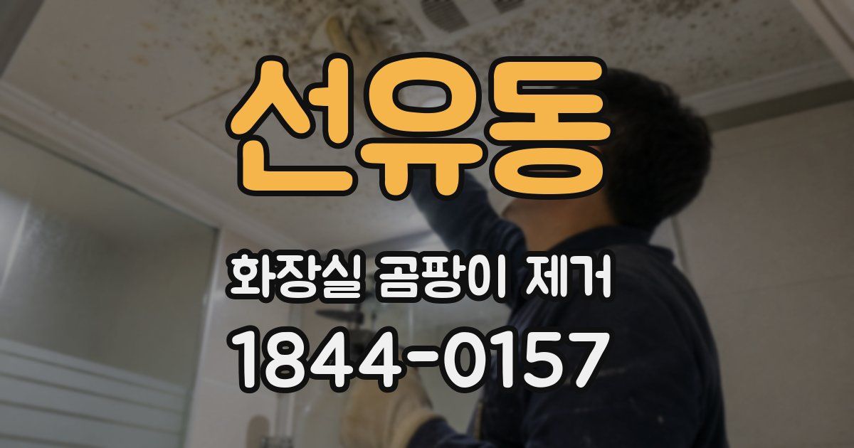 선유동 화장실 곰팡이 제거