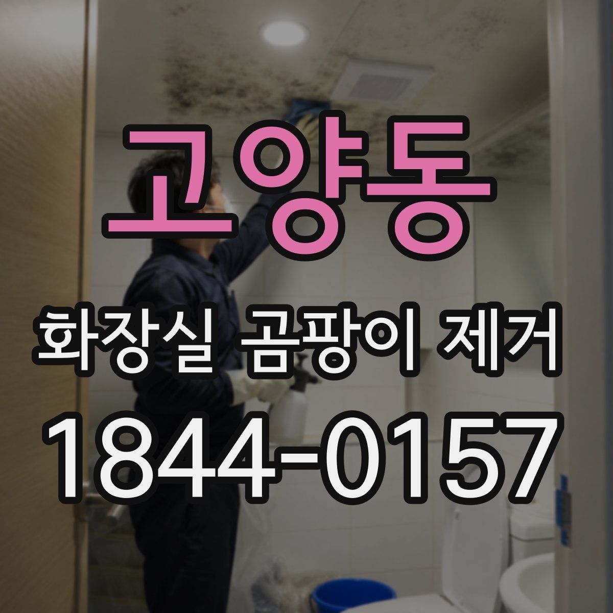 고양동 화장실 곰팡이 제거