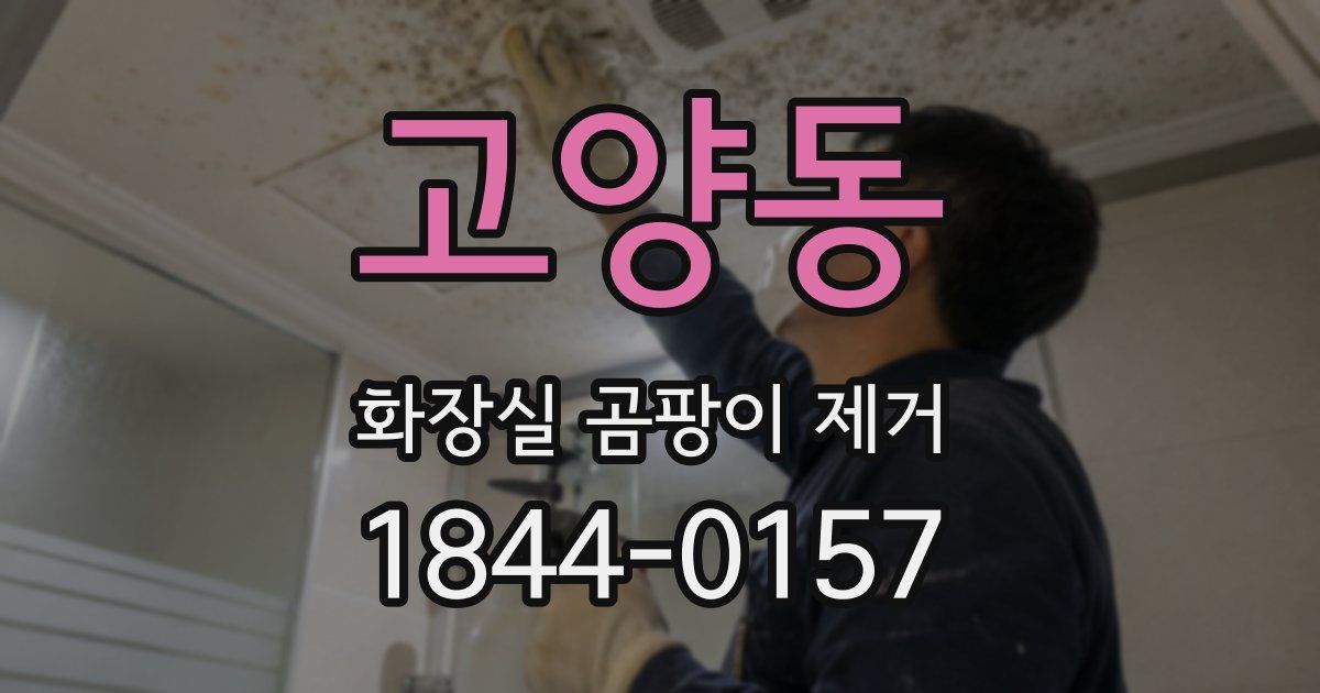 고양동 화장실 곰팡이 제거