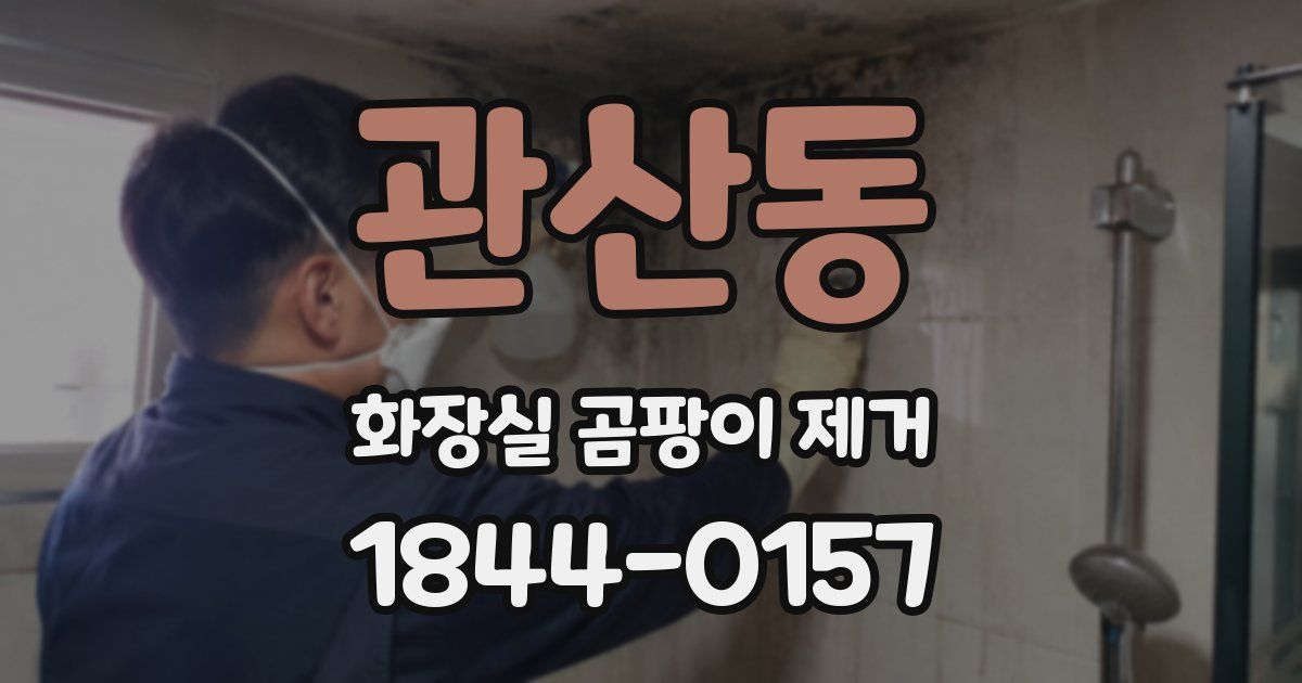 관산동 화장실 곰팡이 제거