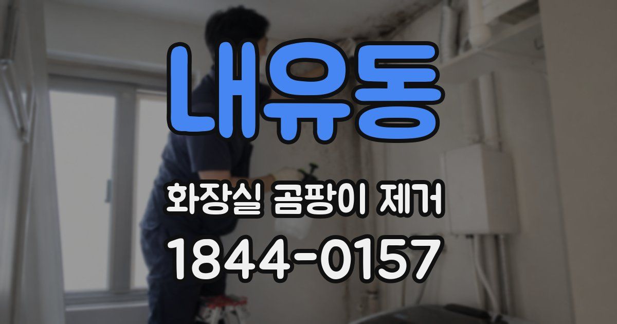 내유동 화장실 곰팡이 제거