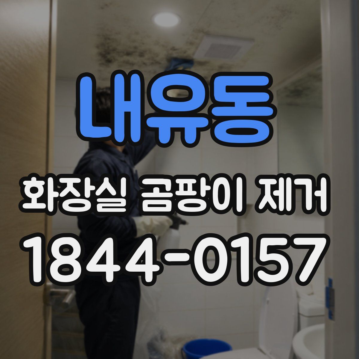 내유동 화장실 곰팡이 제거
