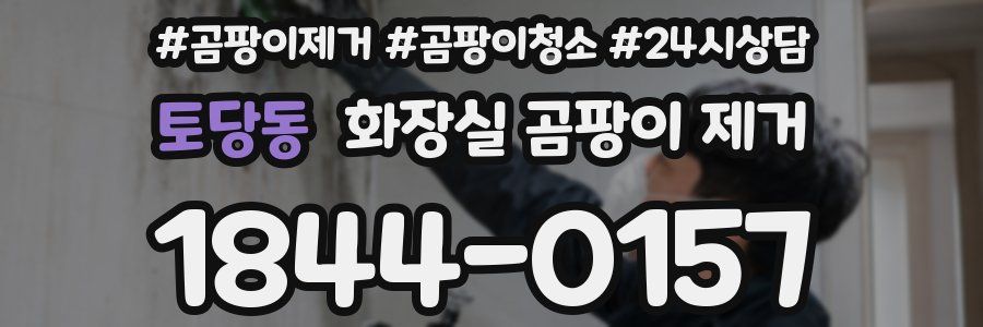 토당동 화장실 곰팡이 제거