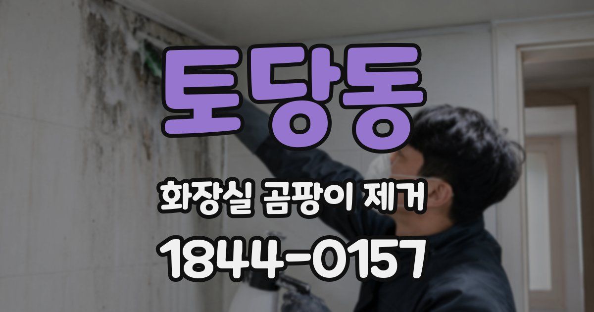 토당동 화장실 곰팡이 제거