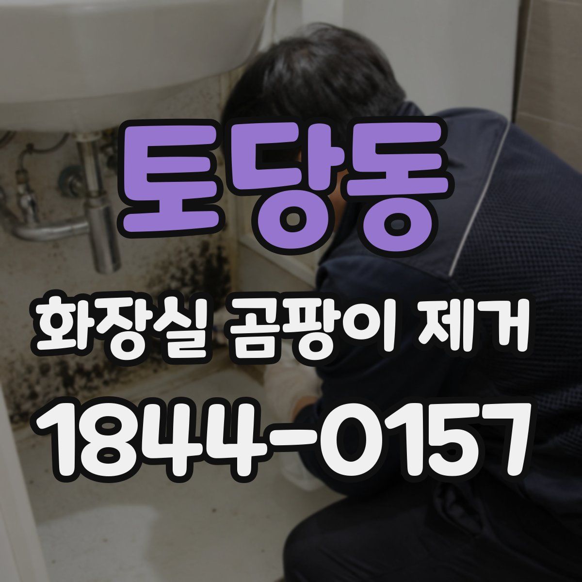 토당동 화장실 곰팡이 제거