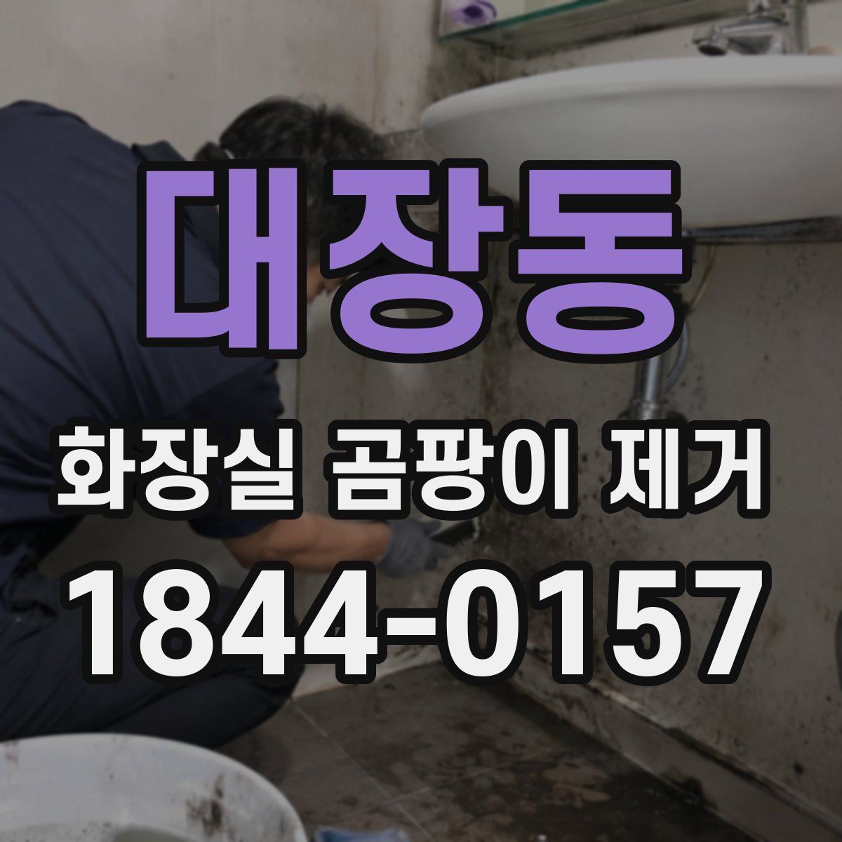 대장동 화장실 곰팡이 제거
