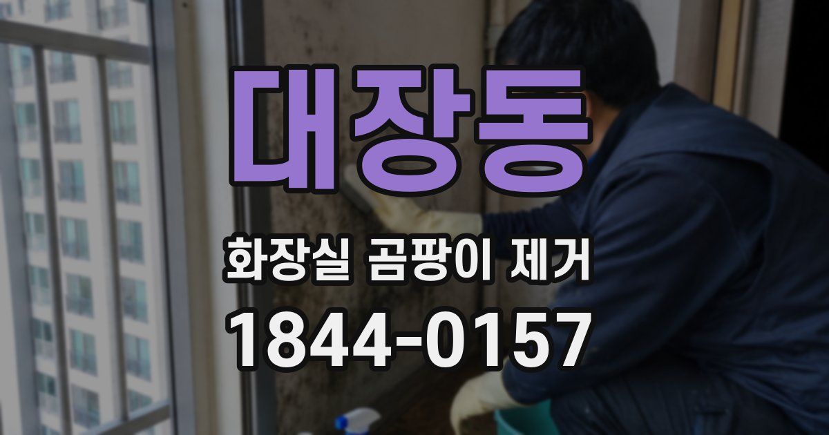 대장동 화장실 곰팡이 제거