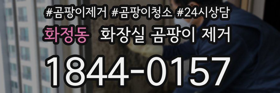 화정동 화장실 곰팡이 제거