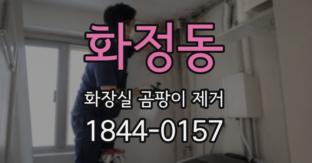 화정동 화장실 곰팡이 제거