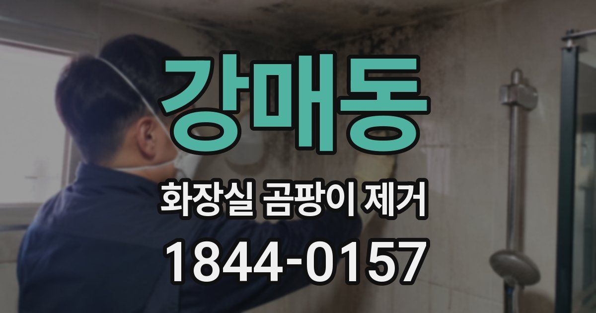 강매동 화장실 곰팡이 제거