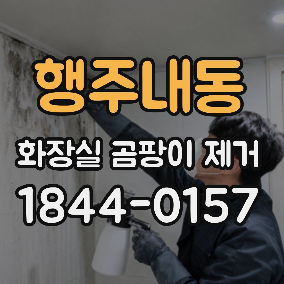 행주내동 화장실 곰팡이 제거