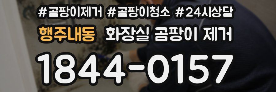 행주내동 화장실 곰팡이 제거
