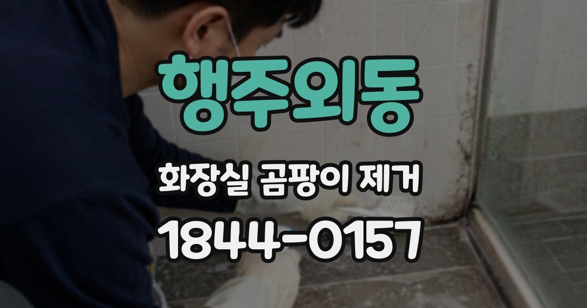 행주외동 화장실 곰팡이 제거