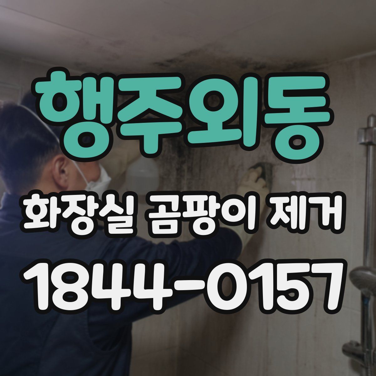 행주외동 화장실 곰팡이 제거
