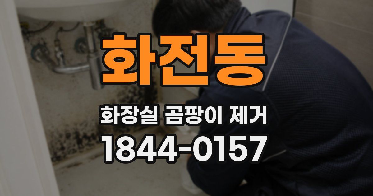 화전동 화장실 곰팡이 제거