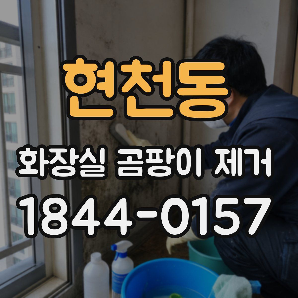 현천동 화장실 곰팡이 제거