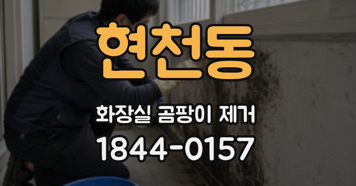 현천동 화장실 곰팡이 제거