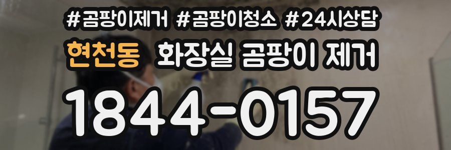 현천동 화장실 곰팡이 제거