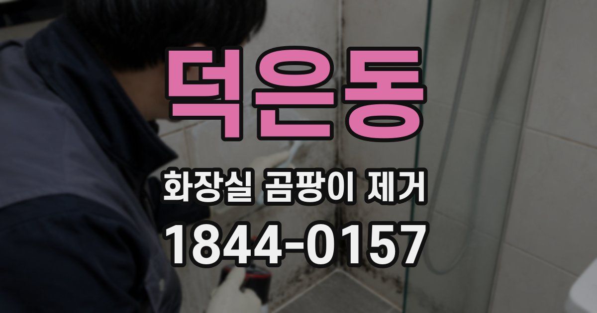 덕은동 화장실 곰팡이 제거