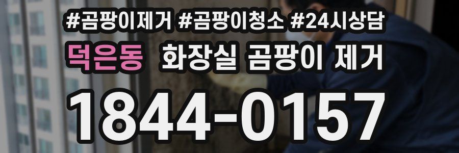 덕은동 화장실 곰팡이 제거