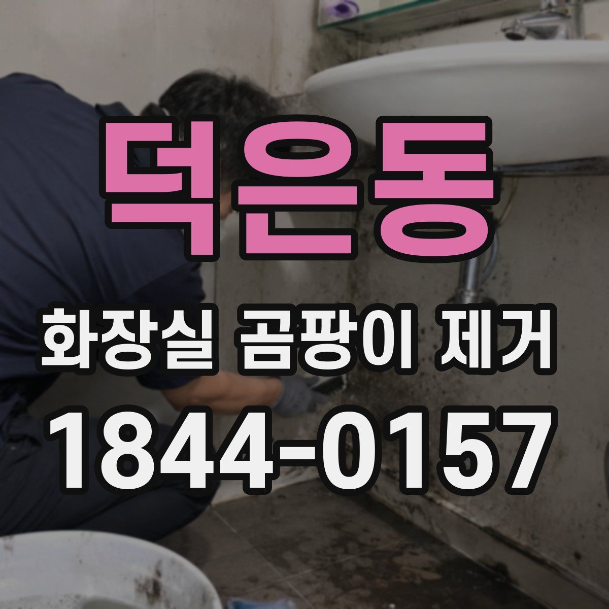 덕은동 화장실 곰팡이 제거