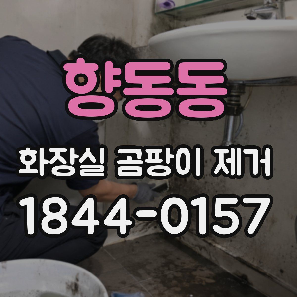 향동동 화장실 곰팡이 제거