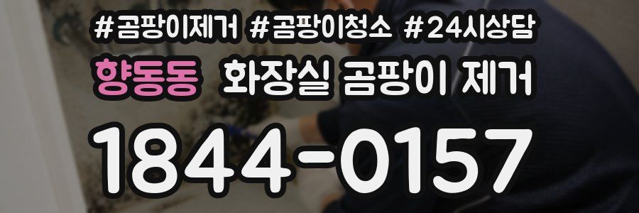 향동동 화장실 곰팡이 제거