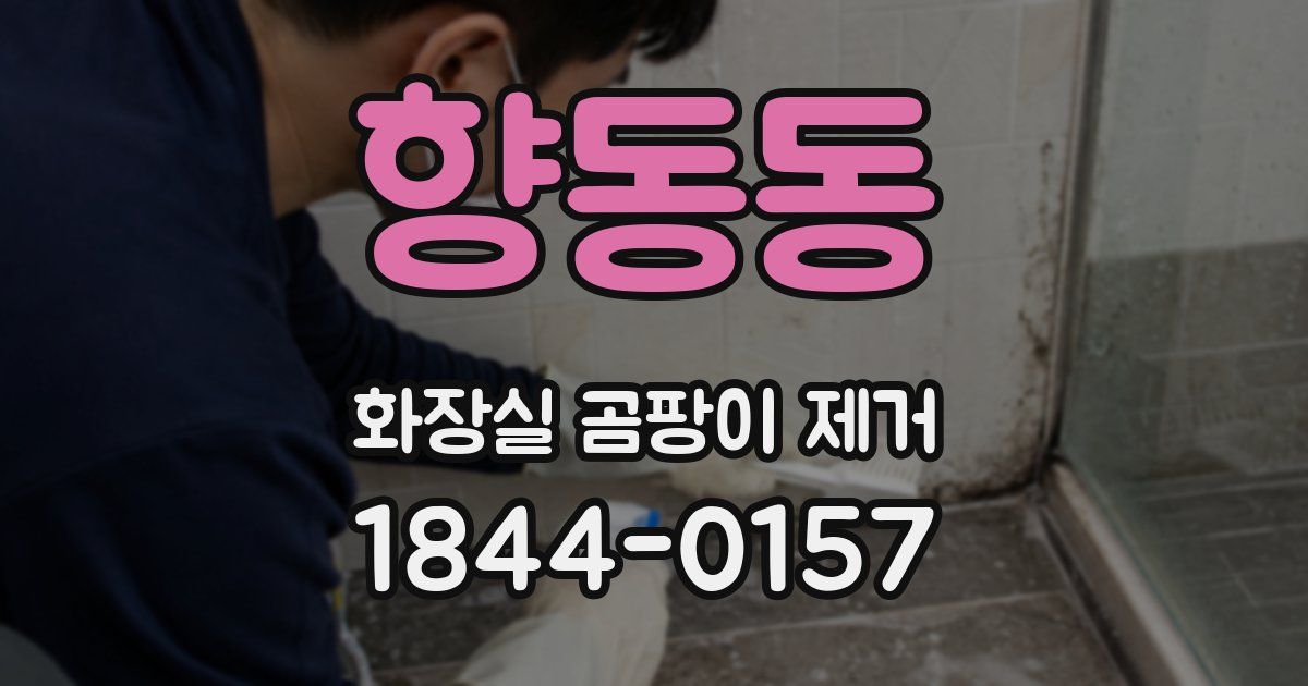 향동동 화장실 곰팡이 제거