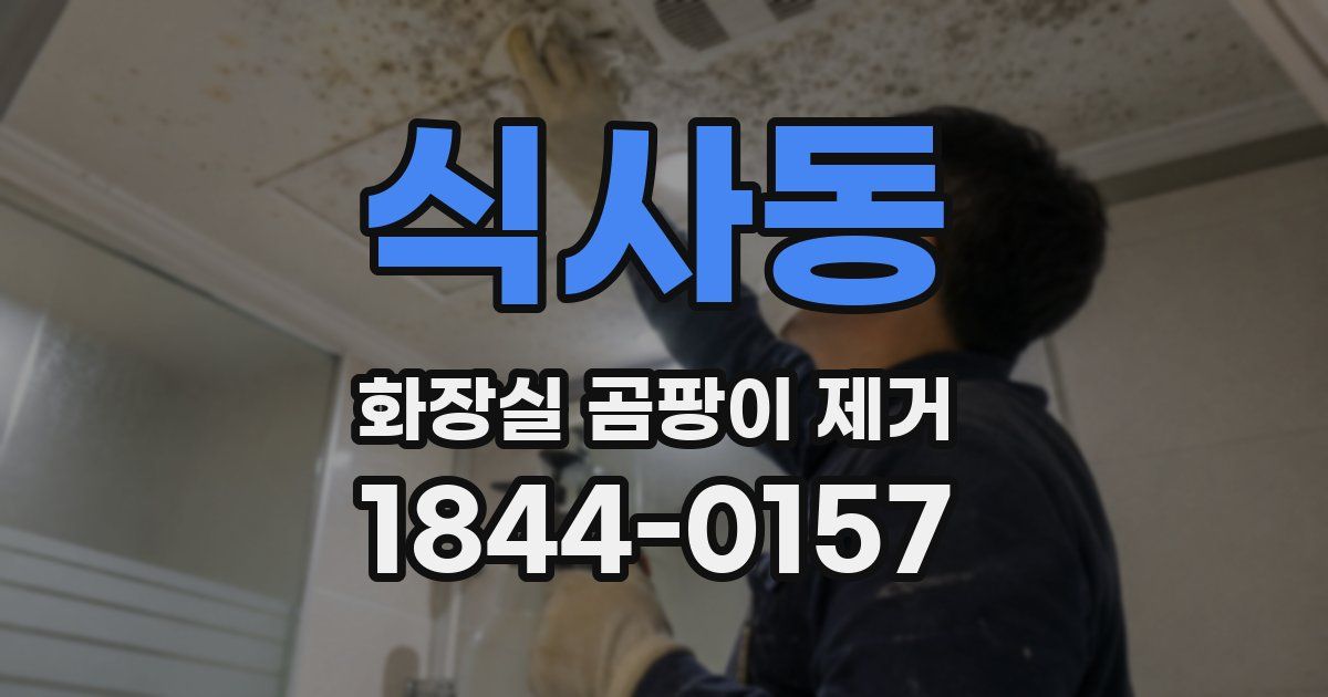 식사동 화장실 곰팡이 제거