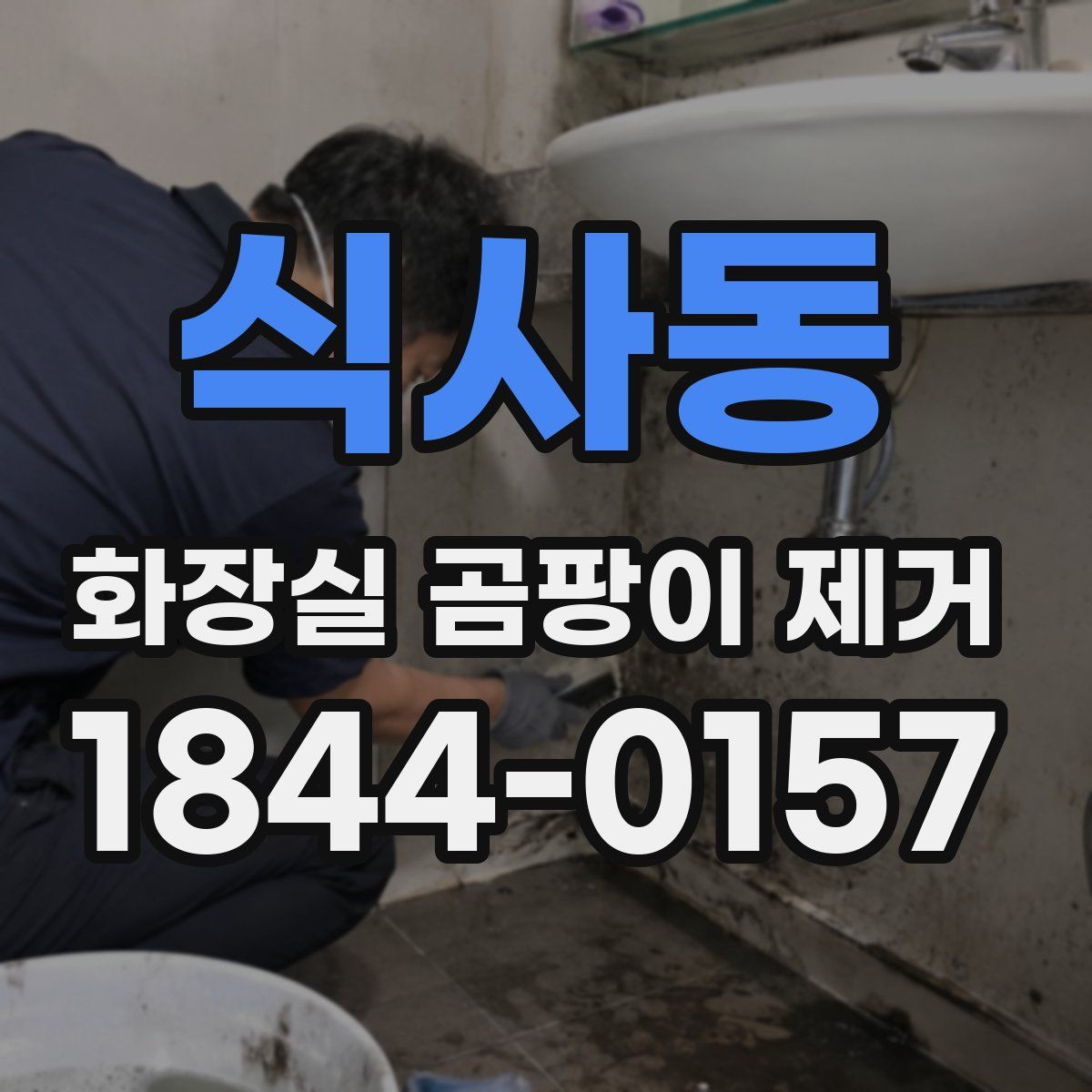 식사동 화장실 곰팡이 제거
