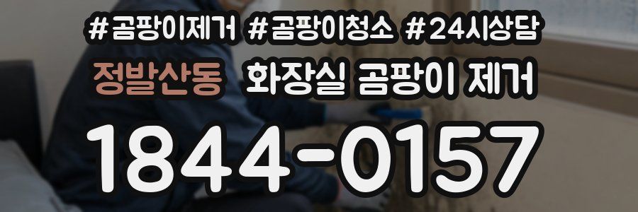 정발산동 화장실 곰팡이 제거