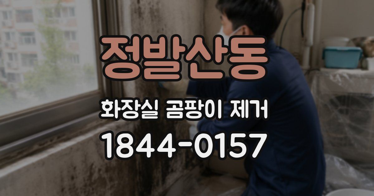 정발산동 화장실 곰팡이 제거