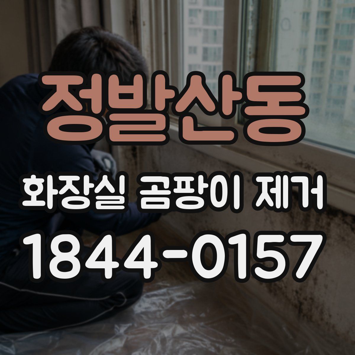 정발산동 화장실 곰팡이 제거