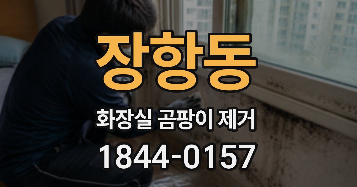 장항동 화장실 곰팡이 제거