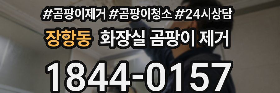 장항동 화장실 곰팡이 제거
