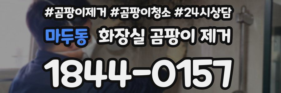 마두동 화장실 곰팡이 제거