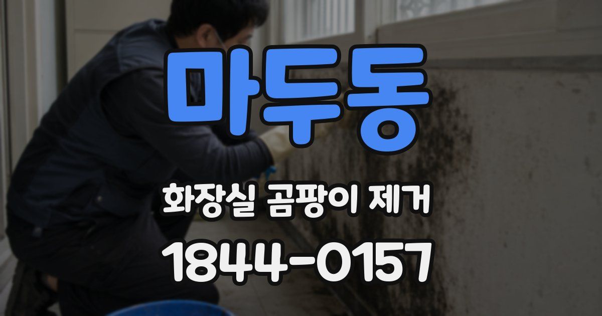 마두동 화장실 곰팡이 제거