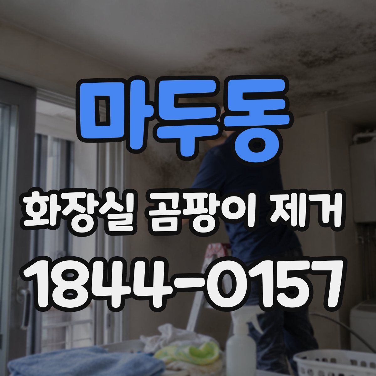 마두동 화장실 곰팡이 제거
